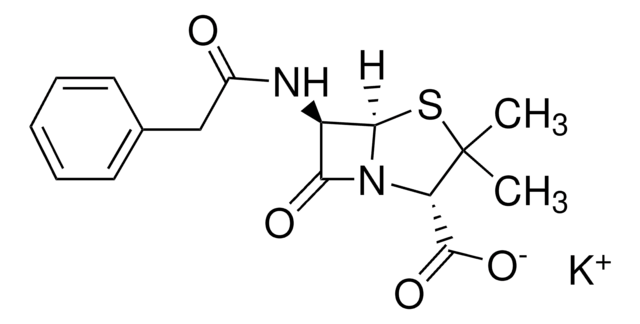 Penicillin&nbsp;G Kaliumsalz powder, BioReagent, suitable for cell culture