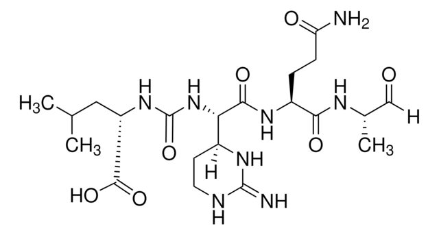 Elastatinal microbial