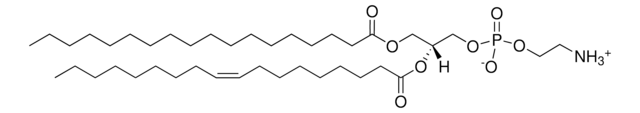 Brain PE Avanti Polar Lipids 840022C