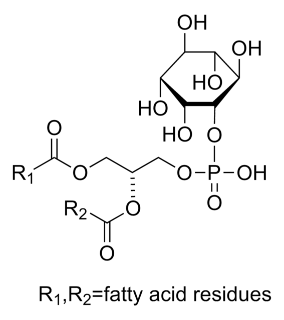 L-&#945;-Phosphatidylinositol aus Glycine max (soybean) ~50% (TLC)