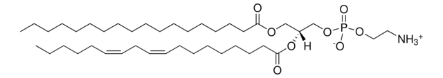 Egg PE Avanti Polar Lipids 840021C