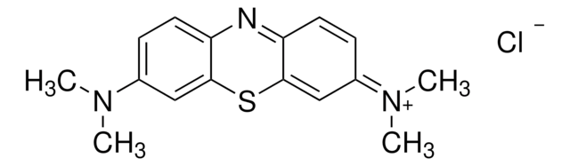 Methylenblau -Lösung for microscopy