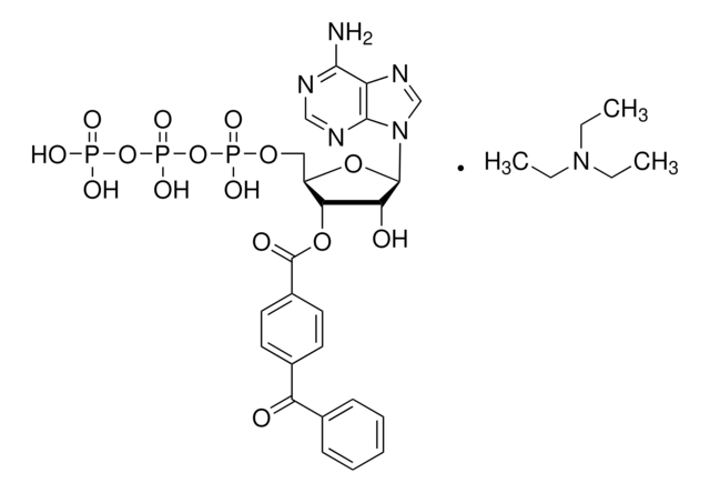 2&#8242;(3&#8242;)-O-(4-Benzoylbenzoyl)adenosin-5&#8242;-triphosphat -triethylammonium (Salz) &#8805;93%