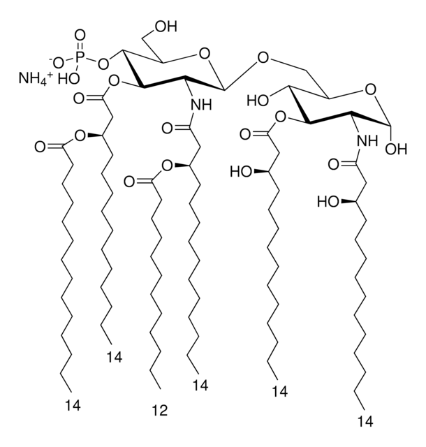 PHAD&#174;-504 Avanti Polar Lipids