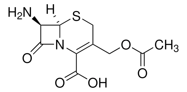 7-Aminocephalosporansäure 98%