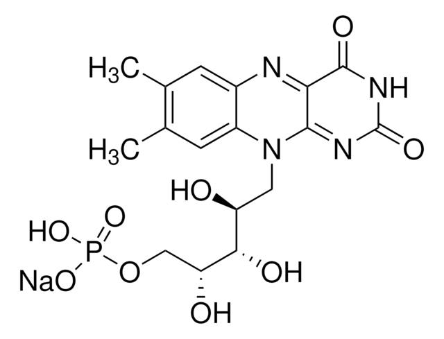 Riboflavin-5&#8242;-monophosphat Natriumsalz tested according to Ph. Eur.