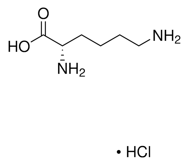 L-Lysin -monohydrochlorid from non-animal source, meets EP, JP, USP testing specifications, suitable for cell culture, 98.5-101.0%