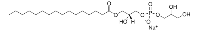 16:0 Lyso PG 1-palmitoyl-2-hydroxy-sn-glycero-3-phospho-(1&#8242;-rac-glycerol) (sodium salt), powder