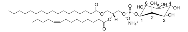 17:0-14:1 PI Avanti Polar Lipids LM1504, methanol solution