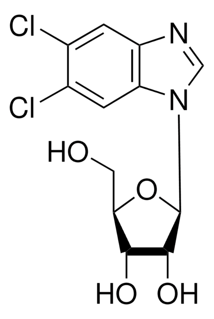 5,6-Dichlorbenzimidazol 1-&#946;-D-Ribofuranosid