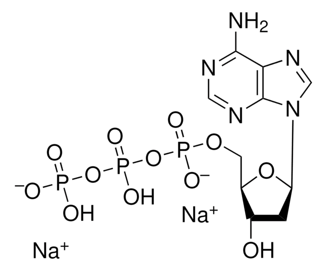 2&#8242;-Desoxyadenosin-5&#8242;-Triphosphat Dinatriumsalz &#8805;97%