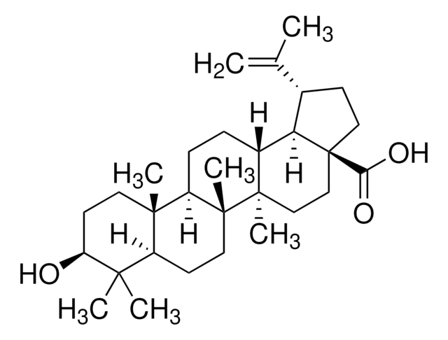 Betulinsäure analytical standard