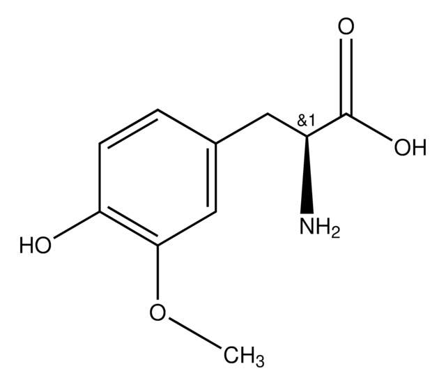 3-Methoxy-L-Tyrosin Monohydrat powder