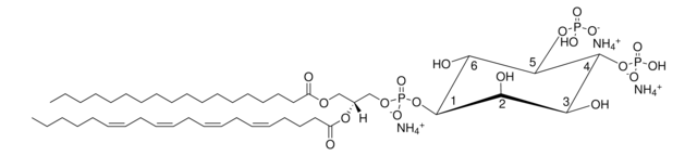 Hirn PI(4,5)P2 Avanti Polar Lipids