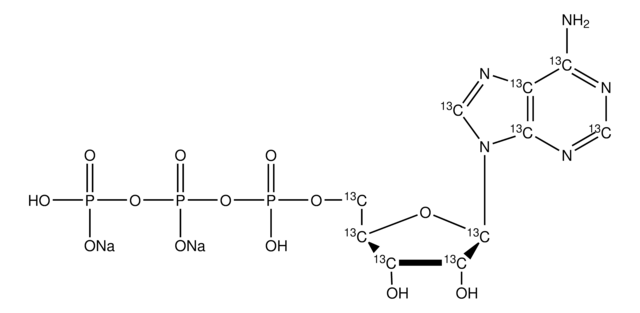 Adenosin-13C10 5&#8242;-Triphosphat Natriumsalz -Lösung 100&#160;mM (in 5mM Tris HCl / H2O), &#8805;98 atom % 13C, &#8805;95% (CP)