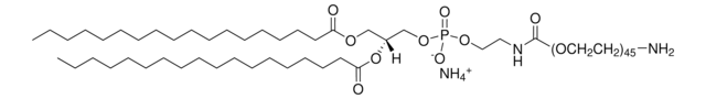 DSPE-PEG(2000)-Amin Avanti Polar Lipids