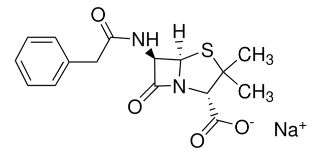 Penicillin&nbsp;G Natriumsalz powder, BioReagent, suitable for cell culture