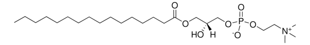 Soy Lyso PC Avanti Polar Lipids 840072P, powder