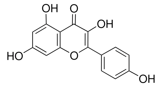 Kaempferol &#8805;97.0% (HPLC)