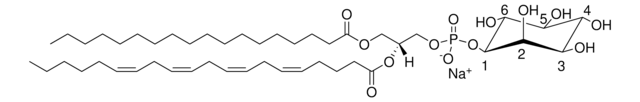 Leber PI Avanti Polar Lipids