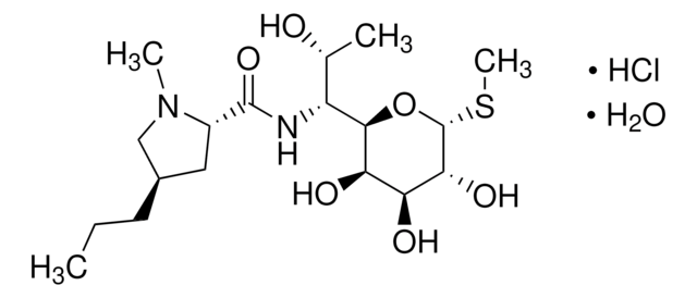 Lincomycin-Hydrochlorid United States Pharmacopeia (USP) Reference Standard