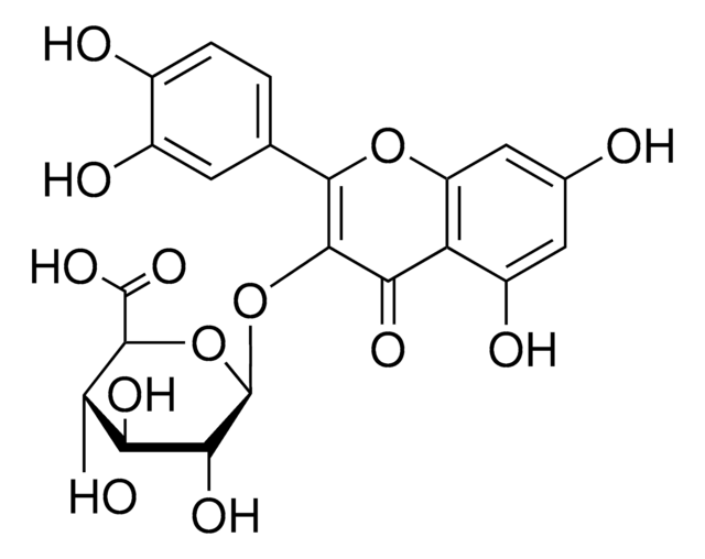 Quercetin-3-Glucuronid &#8805;95% (LC/MS-ELSD)