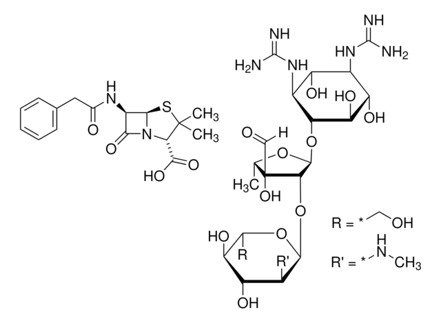 Penicillin-Streptomycin with 10,000 units penicillin and 10 mg streptomycin per mL in 0.9% NaCl, 0.1 &#956;m filtered, BioReagent, suitable for cell culture