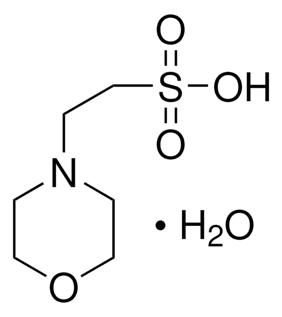 MES Monohydrat BioUltra, for molecular biology, &#8805;99.5% (T)