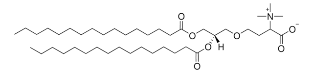 DGTS Avanti Polar Lipids