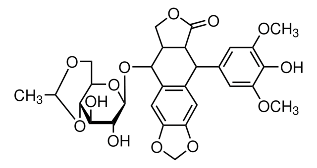 Etoposid synthetic, 95.0-105.0%, powder