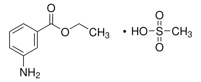 Ethyl-3-aminobenzoat -methansulfonat 98%