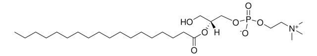 2-18:0 Lyso PC Avanti Polar Lipids 855774P, powder