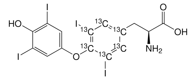 L-Thyroxine-13C6 solution 100&#160;&#956;g/mL in methanol with 0.1N NH3, ampule of 1&#160;mL, certified reference material, Cerilliant&#174;