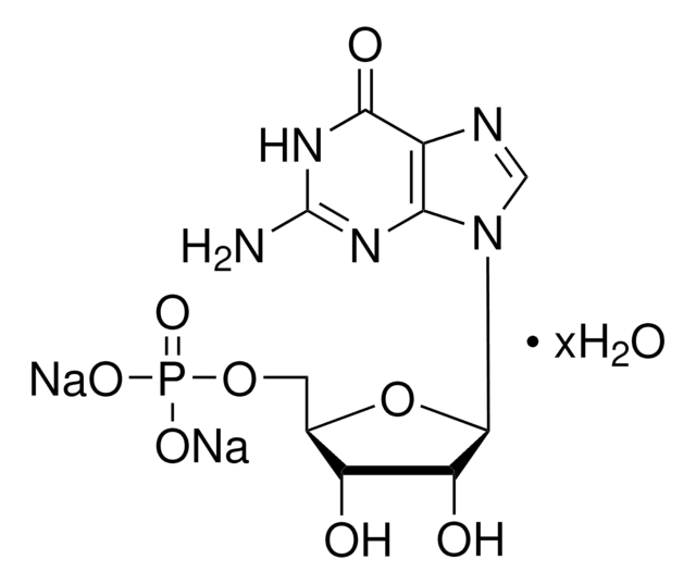 Guanosin-5&#8242;-Monophosphat Dinatriumsalz Hydrat from yeast, &#8805;99%