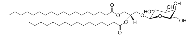 Hydrogenated MGDG Avanti Polar Lipids, powder