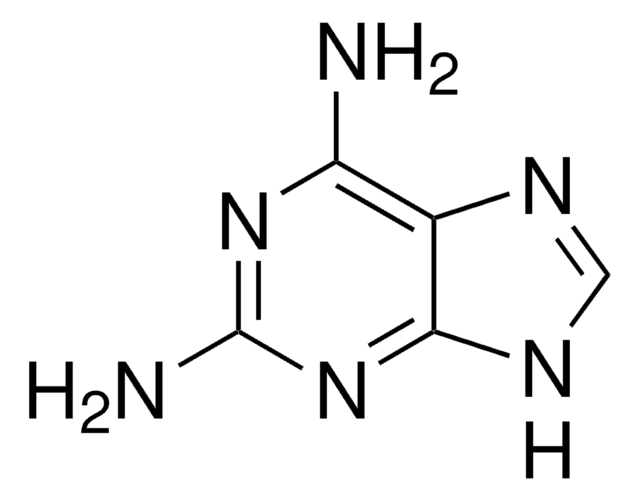 2,6-Diaminopurin 98%