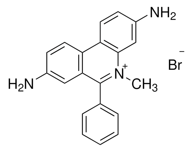 Dimidiumbromid BioReagent, suitable for fluorescence, ~95% (AT)