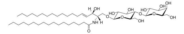 C17 Lactosyl(&#946;) Ceramide (d18:1/17:0) Avanti Polar Lipids 860595P, powder