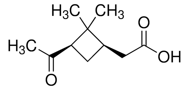 cis-Pinonsäure 98%