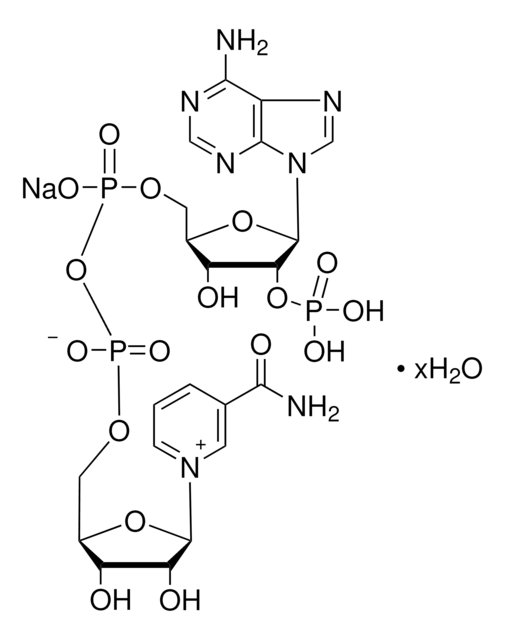 &#946;-Nicotinamide adenine dinucleotide phosphate sodium salt pkg of 10&#160;mg (per vial)