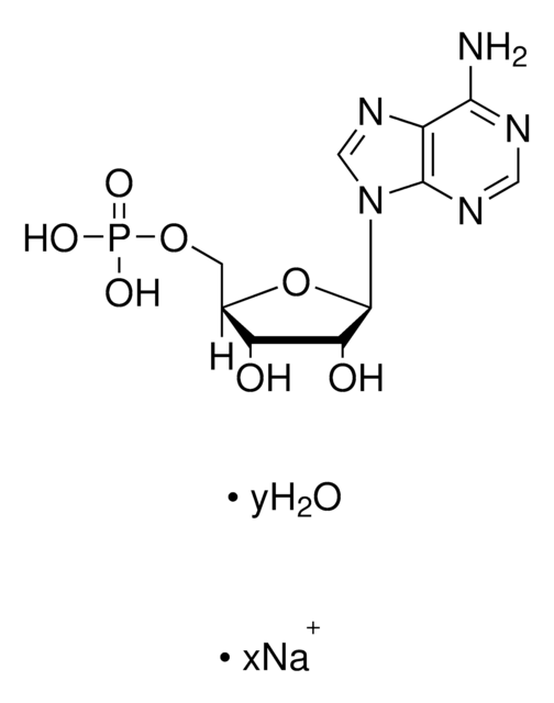 Adenosin-5&#8242;-monophosphat Natriumsalz from yeast, &#8805;99%