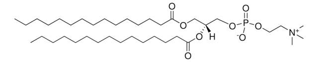 15:0 PC 1,2-dipentadecanoyl-sn-glycero-3-phosphocholine, powder