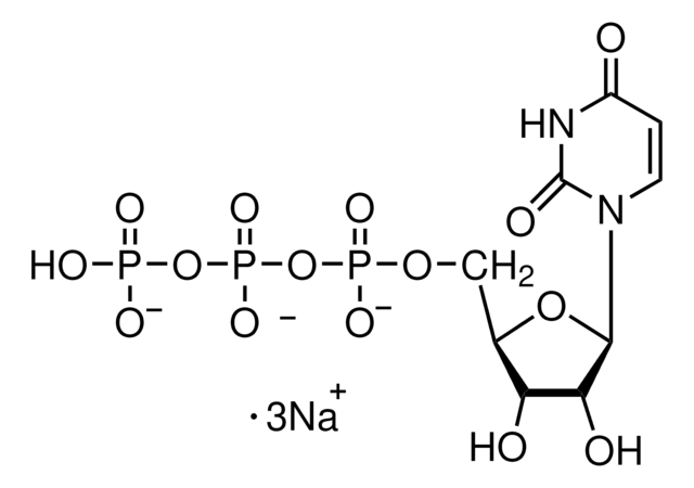 Uridin-5&#8242;-triphosphat Trinatriumsalz Hydrat from yeast, Type III, &#8805;96%