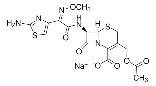 Cefotaxime for peak identification European Pharmacopoeia (EP) Reference Standard