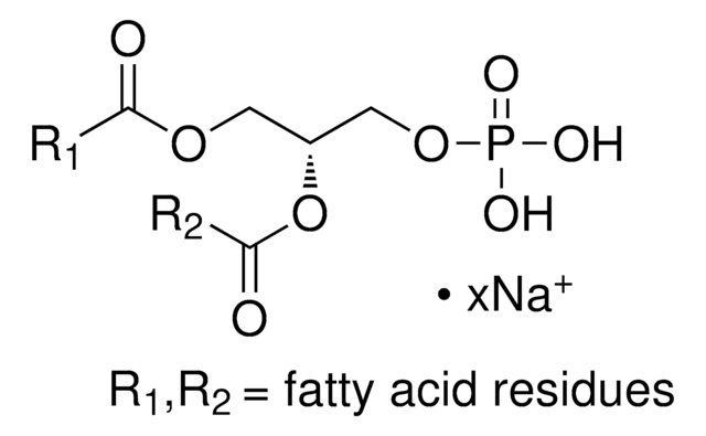 3-sn-Phosphatidsäure Natriumsalz aus Eigelb-Lecithin &#8805;98%