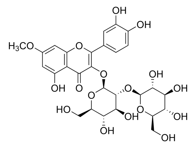 Rhamnetin 3-sophoroside &#8805;95% (LC/MS-ELSD)