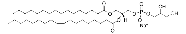 16:0-18:1 PG Avanti Polar Lipids