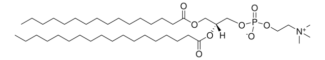 16:0-18:0 PC 1-palmitoyl-2-stearoyl-sn-glycero-3-phosphocholine, chloroform