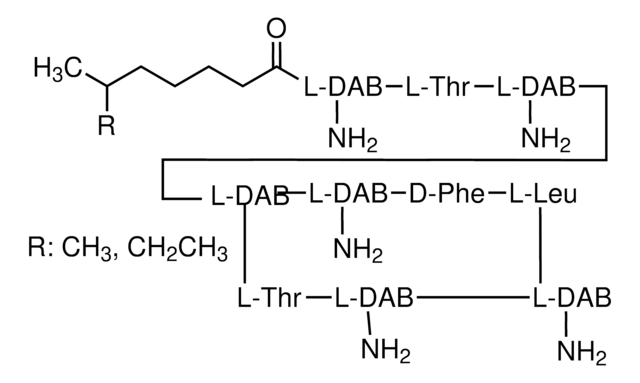 Polymyxin B -sulfat (Salz) powder, BioReagent, suitable for cell culture