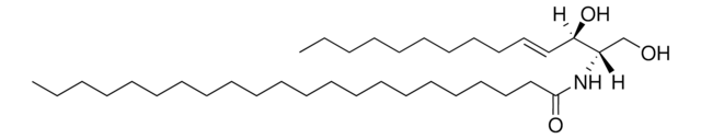 C22 Ceramide (d14:1/22:0) Avanti Polar Lipids, powder